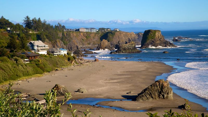 Coastal Beauty Awaits At This Must-Visit Oregon State Park Beach - Decor Hint Beautiful Sandy Beach