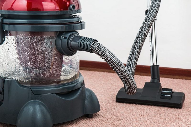 Clean and Vacuum Regularly