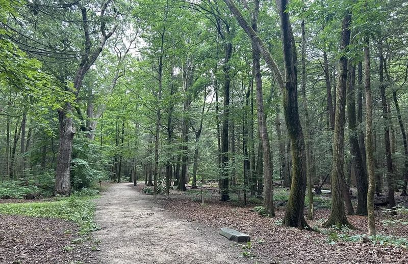 Baxter Woods