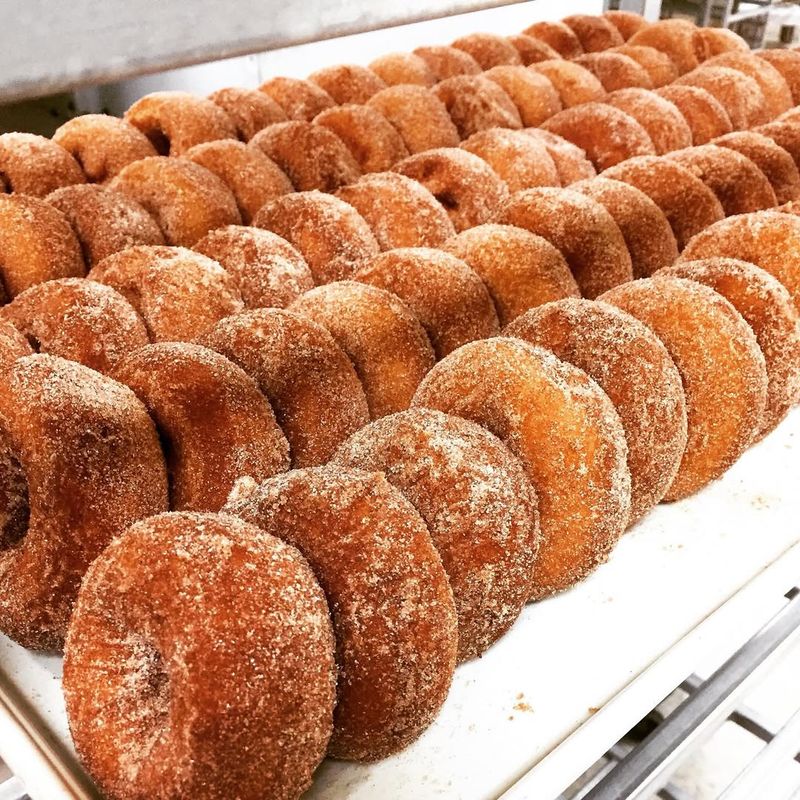 17 Illinois Cider Donut Stands That Make Every Bite Feel Like Autumn - Decor Hint Royal Oak Farm Orchard - Harvard