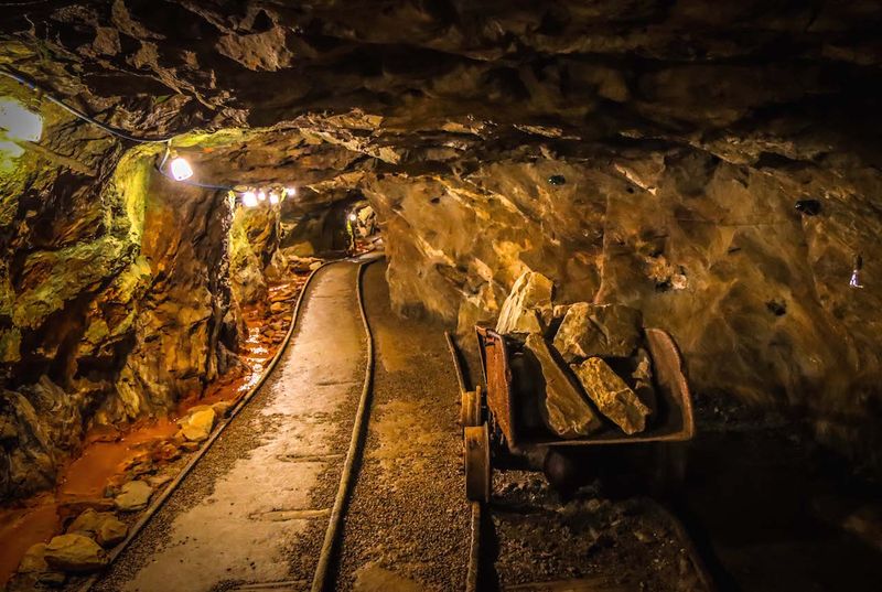 Dahlonega & The Gold Rush Trail Experience