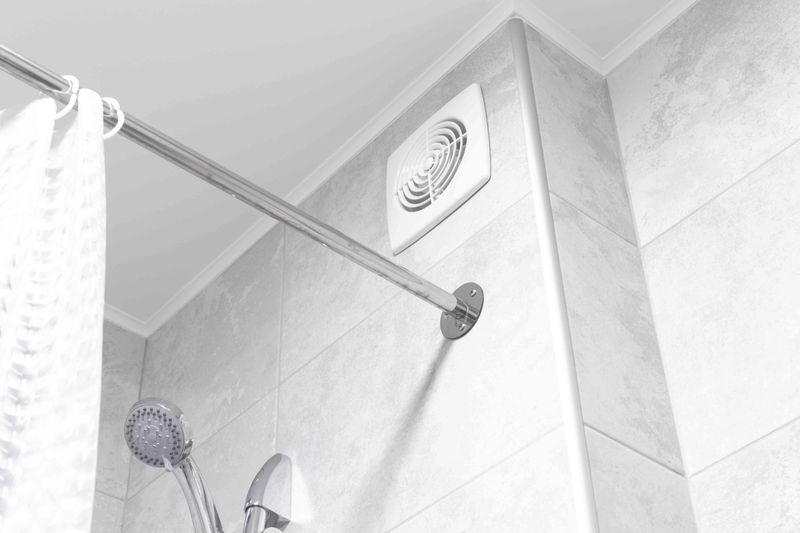 Louisiana Homeowners Are Turning To This Budget-Friendly Upgrade To Fight Mold - Decor Hint Additional Ways To Keep Your Home Dry Year-Round