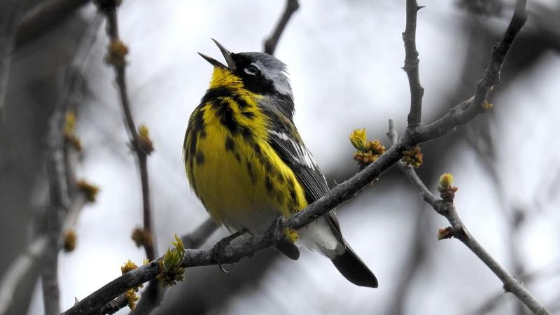 This Secret Lake In New Mexico Is Too Beautiful To Stay Hidden - Decor Hint Birdwatching Haven