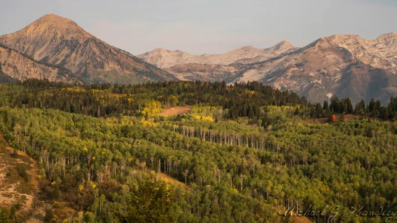 Wasatch Mountain State Park: Alpine Splendor Through the Seasons
