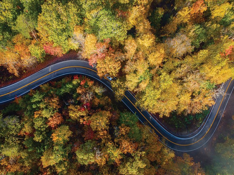 The Ocoee Scenic Byway: Tennessee's Hidden Mountain Route