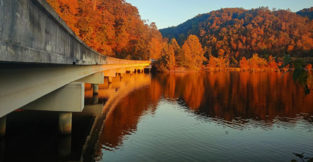 Experience Falls Best Colors On Tennessees Scenic Lake Drive - Decor Hint