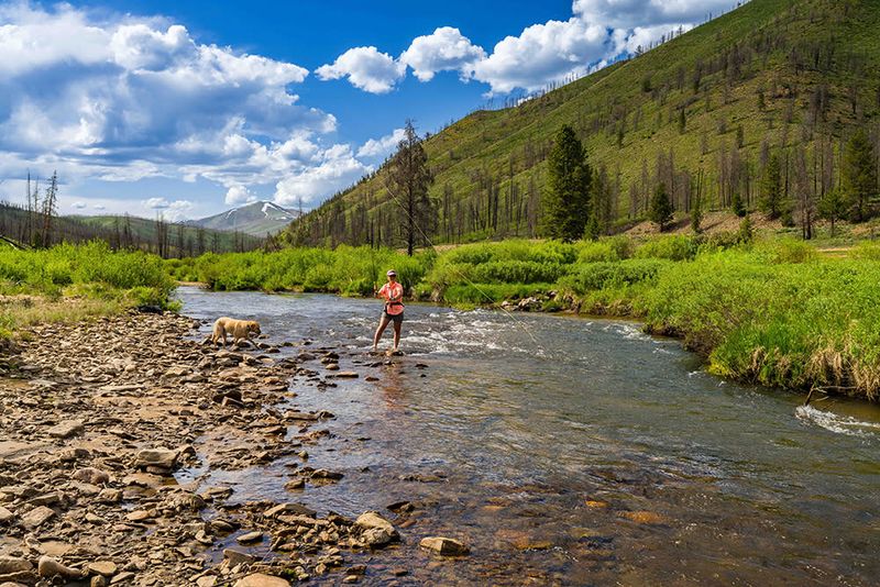 Colorado Weekend Ideas Perfect For Every Kind Of Explorer - Decor Hint Fish in Mountain Streams and Lakes