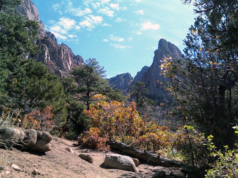 Albuquerque Adventures You Need To Try At Least Once - Decor Hint Hike the La Luz Trail