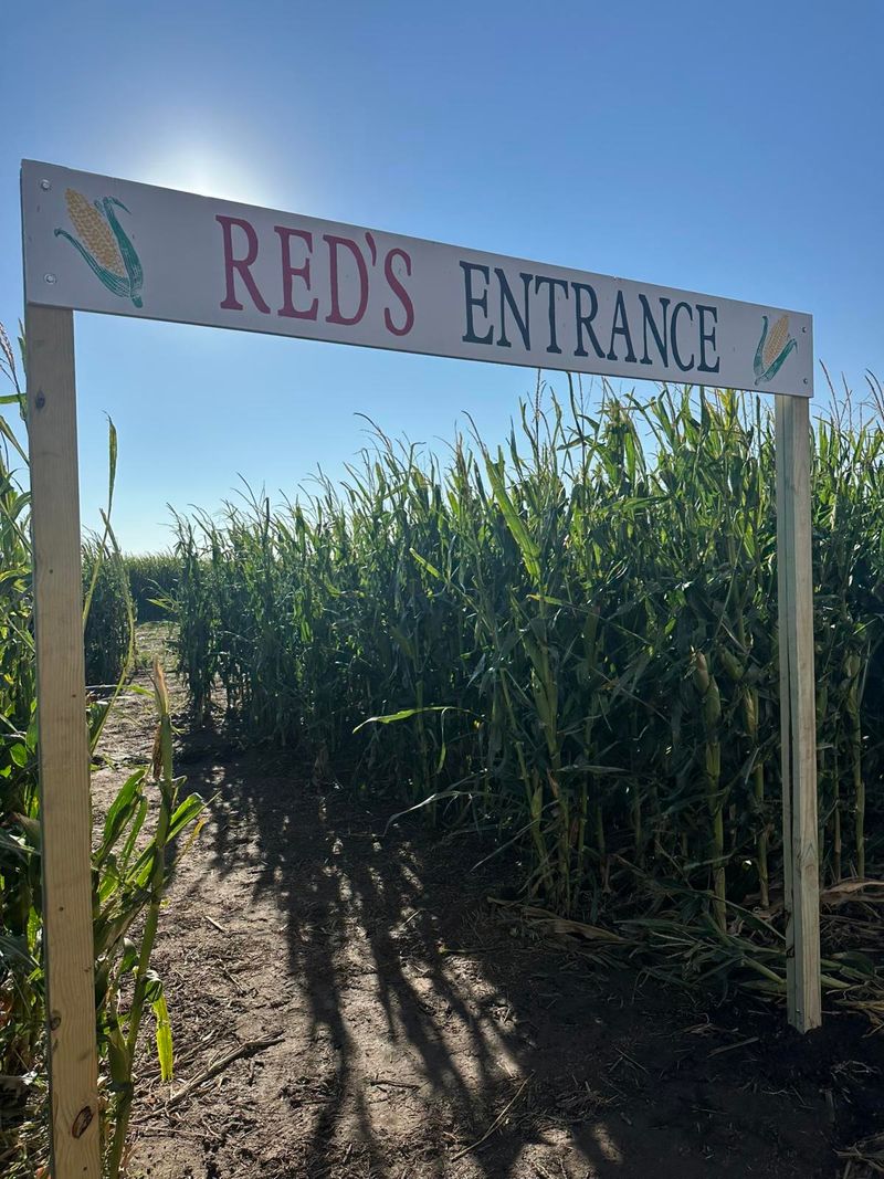 Red's Corn Maze & Pumpkin Patch, Oakley