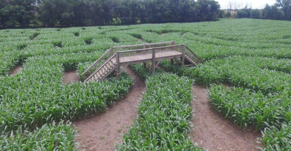 Explore The Best Corn Mazes In Kansas This Fall With The Whole Family - Decor Hint