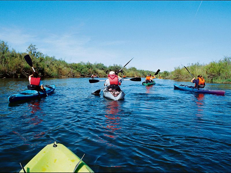 Enjoy Water Recreation On The Colorado River