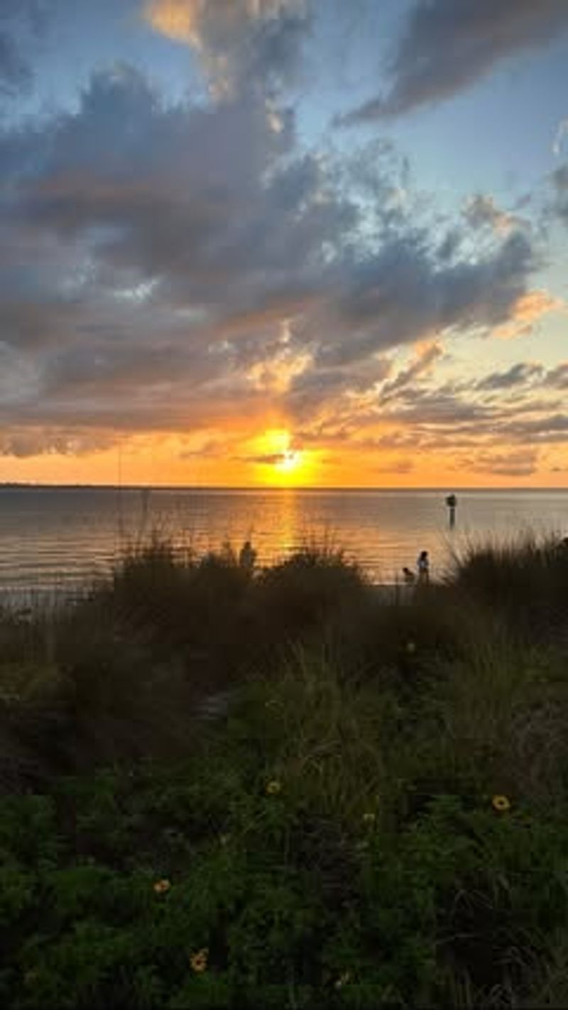 Outdoor Activities To Enjoy In Tampa With Friends Or Family - Decor Hint Watching Sunset at Cypress Point Park