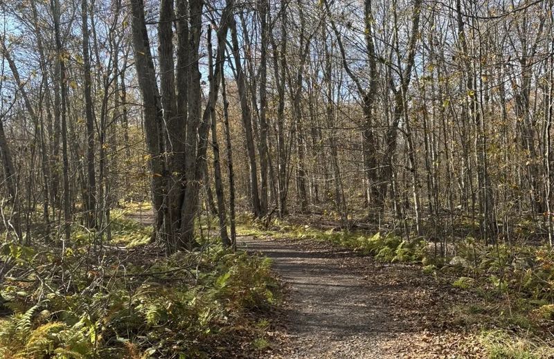 Discover the Poconos Mountain Town In Pennsylvania That's Ideal For A Scenic Escape - Decor Hint Hiking Trails For All Levels Amid Nature's Splendor