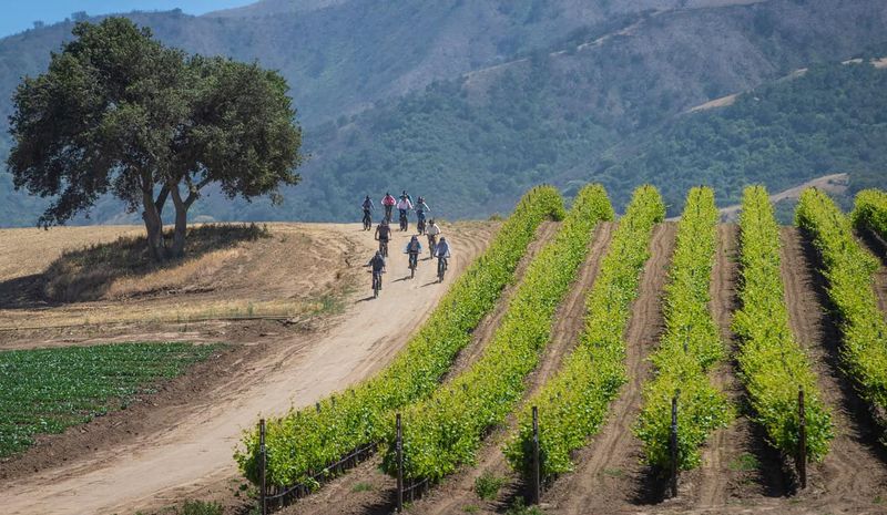 Wine Tasting by Bike in Paso Robles