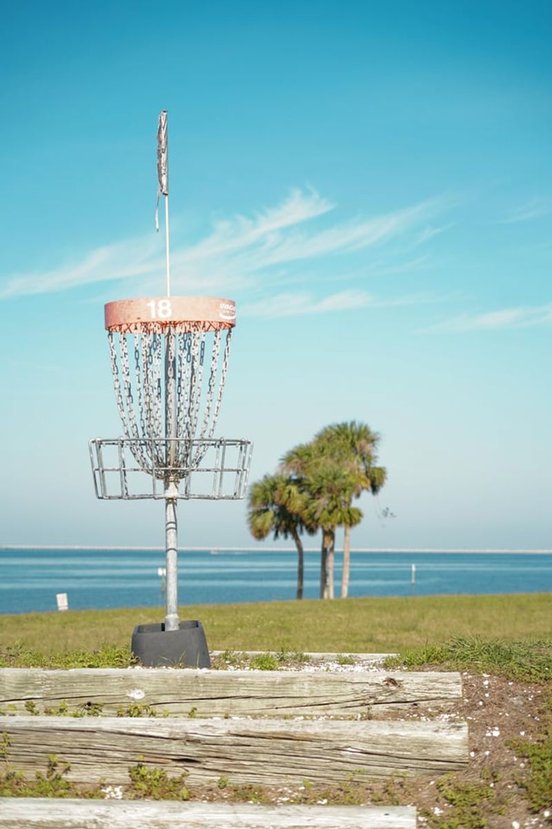 Outdoor Activities To Enjoy In Tampa With Friends Or Family - Decor Hint Playing Disc Golf at Picnic Island Park