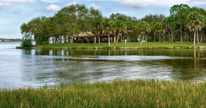 Safety Considerations Weather Navigation And Wildlife