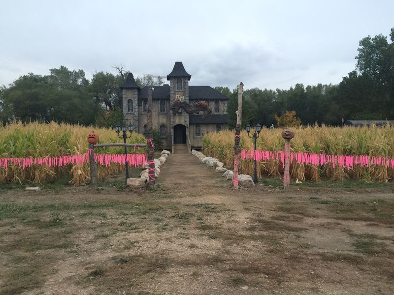 10 Abandoned Ohio Amusement Parks Locals Can't Stop Remembering - Decor Hint Haunted Hollow – Spooky Stories and Memories