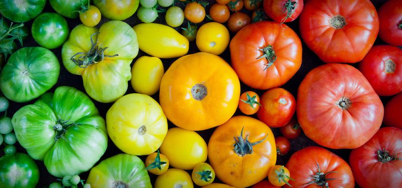 14 North Carolina Farmers Markets So Good You'll Never Go Back To Store Bought - Decor Hint New Bern Farmers Market