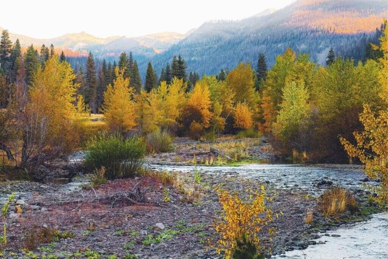 Discover California's Hidden County Before Fall's Foliage Fades - Decor Hint Planning Your Leaf-Peeping Getaway Before The Colors Fade