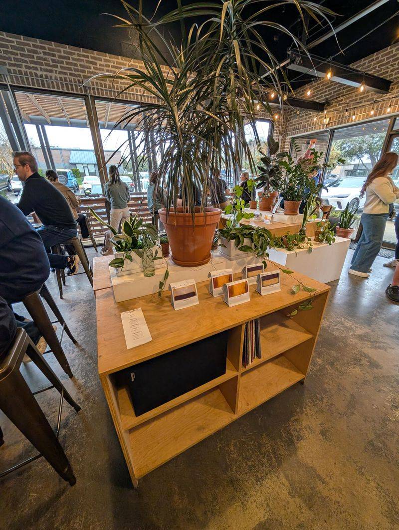 Native Coffee Company