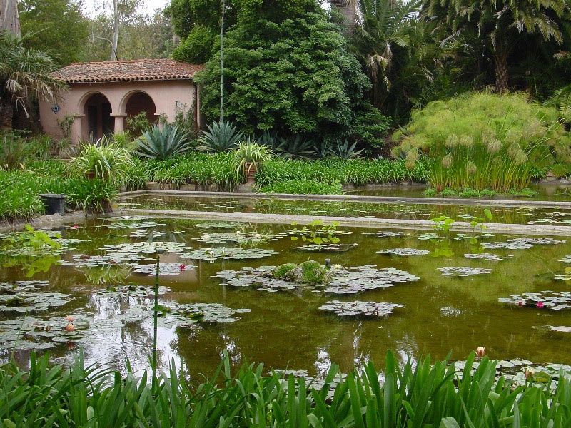 Lotusland: Eccentric Botanical Theater in Montecito
