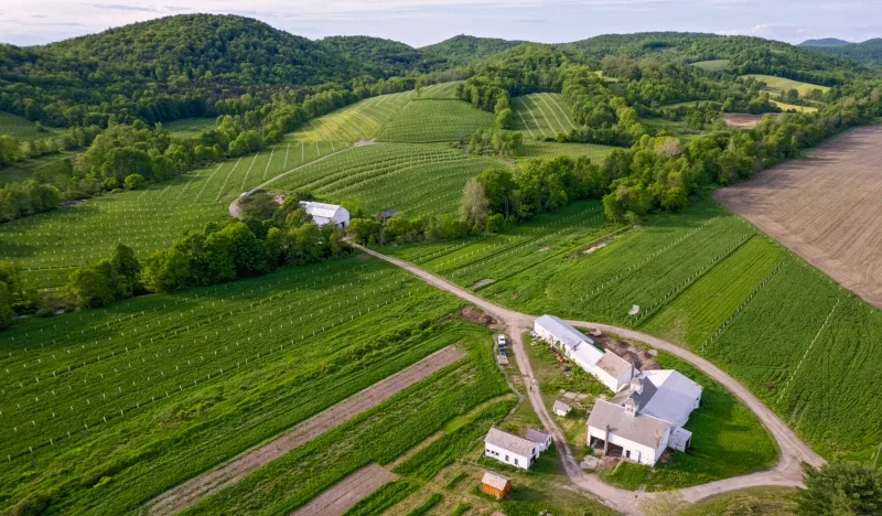 13 New York Grocery Stores Known For Fresh Chestnuts And Harvest Treats - Decor Hint Breadtree Farms - Salem