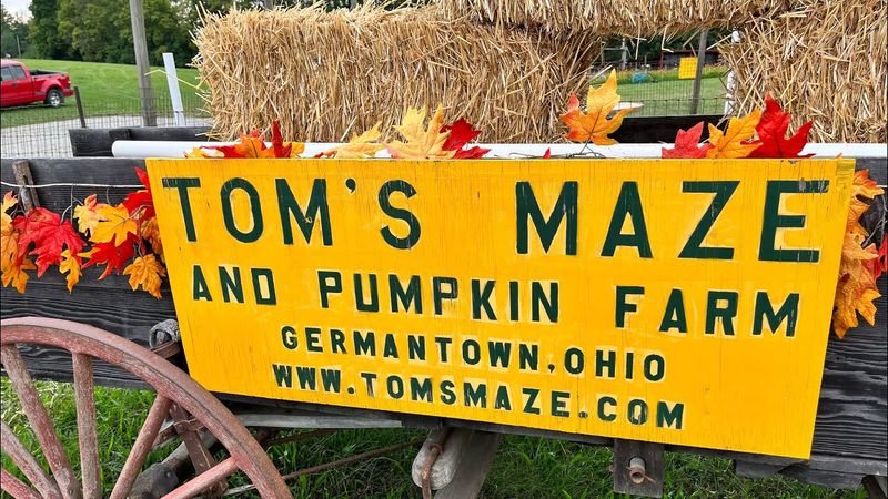 Tom's Maze and Pumpkin Farm Fall Extravaganza