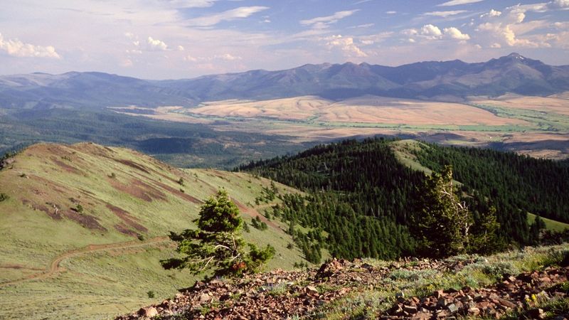 Oregon's Forest Hideaway With 360 Views And Endless Trails - Decor Hint Seasonal Access & Weather Conditions