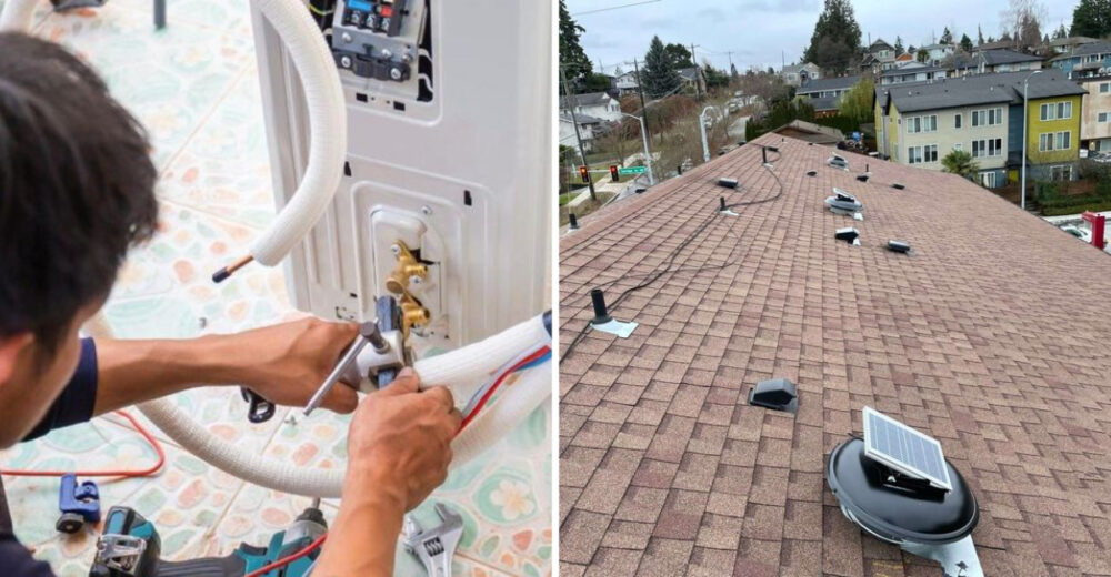 Florida Friendly Improvements To Keep Mold From Spreading - Decor Hint