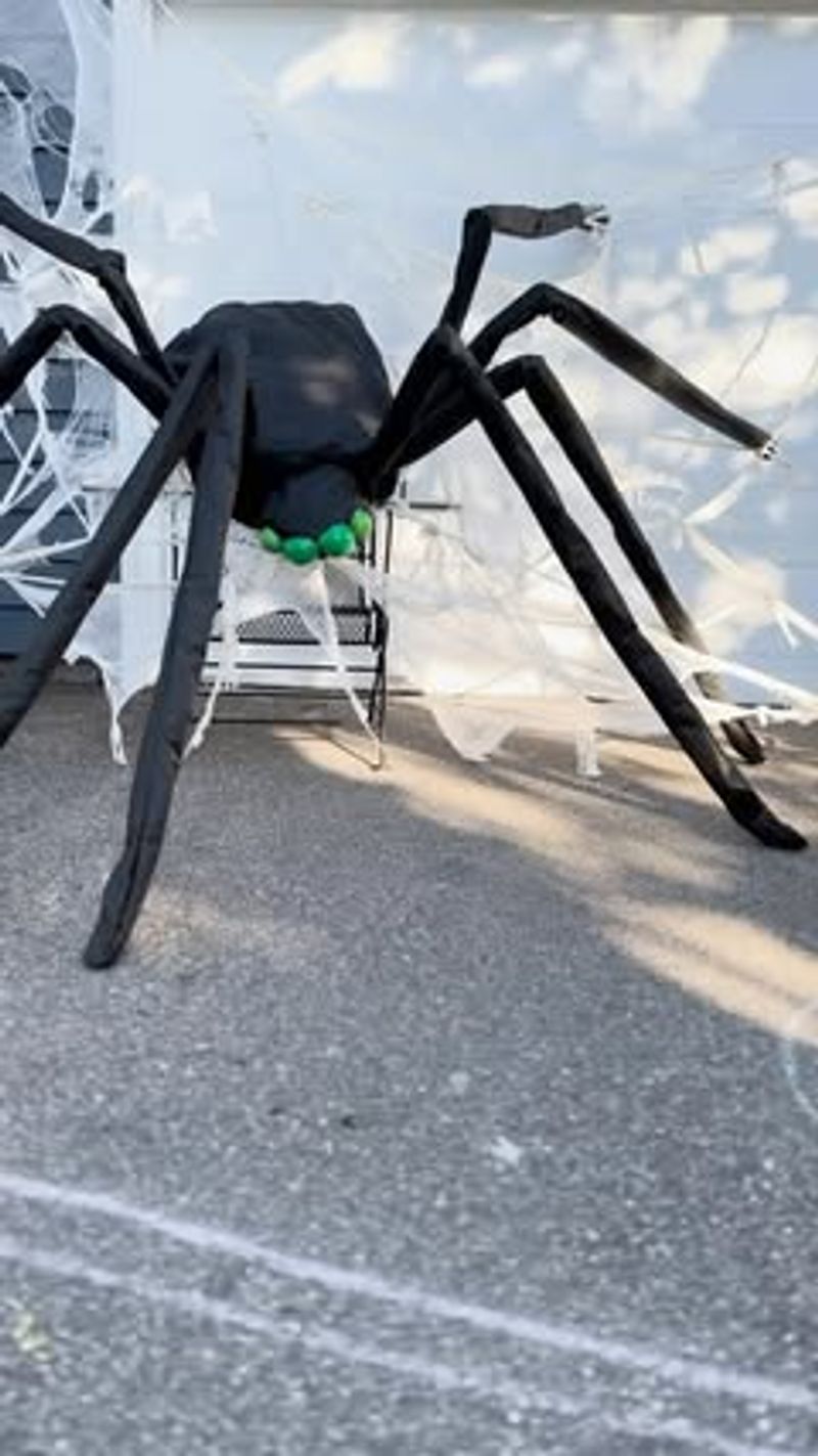 Giant Spider Overhang With Creepy Crawlers On The Steps