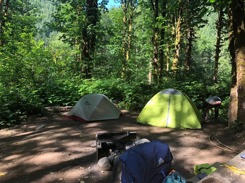 Oregon's Forest Hideaway With 360 Views And Endless Trails - Decor Hint Key Campgrounds & Their Characteristics