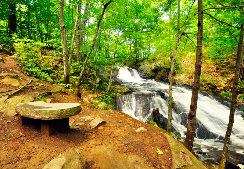 Fore River Sanctuary And Portland’s Hidden Waterfall