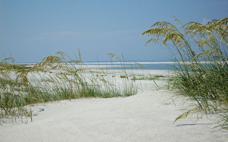 Dauphin Island Public Beach