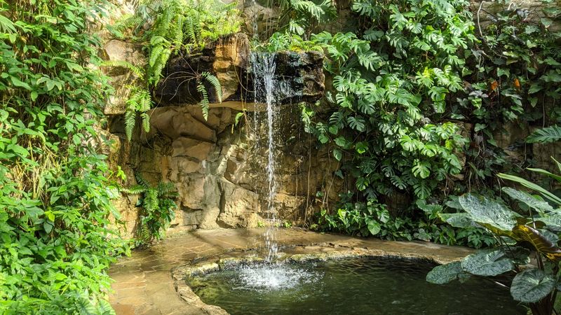 San Antonio Botanical Garden – Lucile Halsell Conservatory