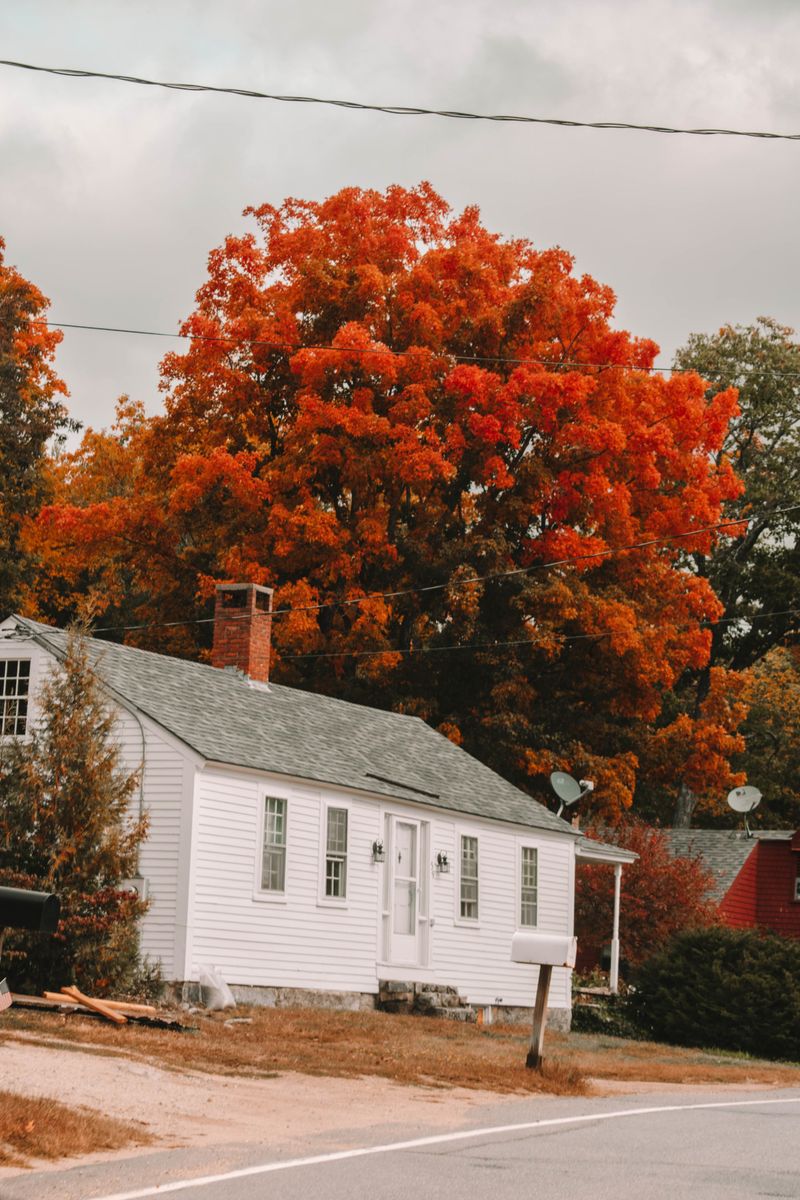 Keene's Pumpkin Festival Spirit