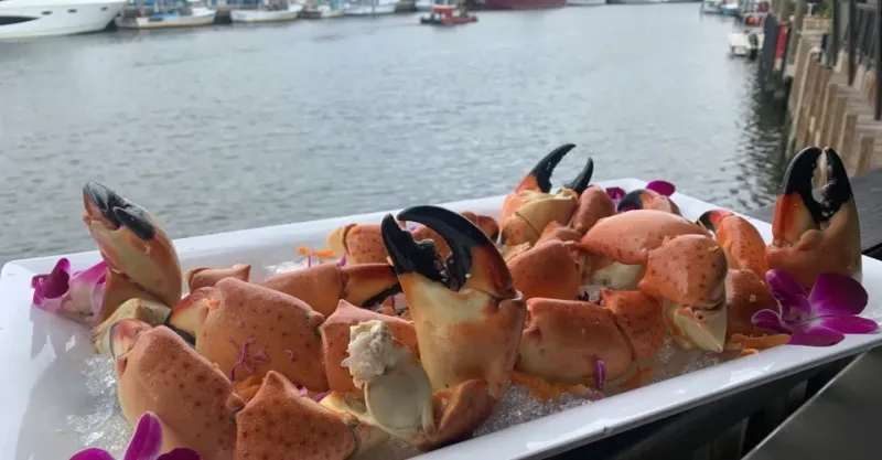 Casablanca Seafood Bar & Grill