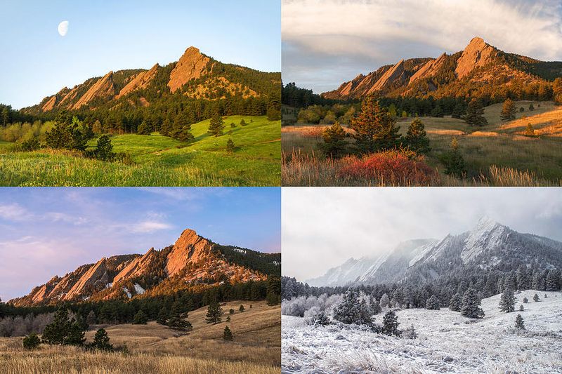 Ideal Seasons To Visit & What Changes Each Month