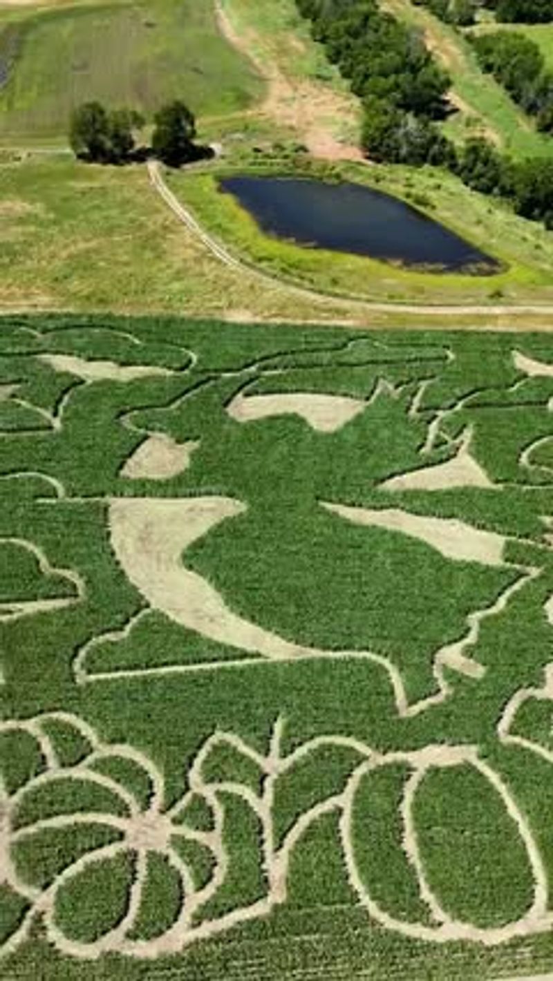 Louisburg Cider Mill Corn Maze, Louisburg