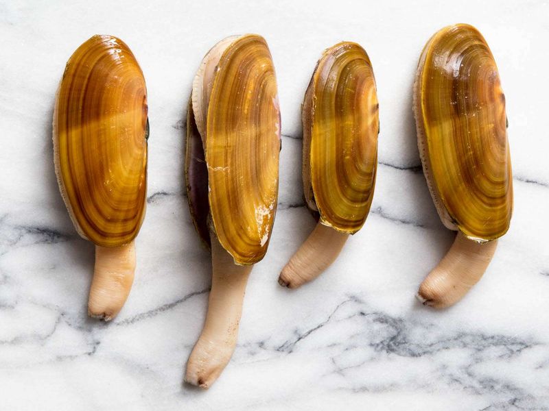 Razor Clams