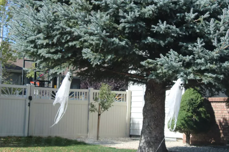 Meet The Casper Houses In Wyoming Taking Halloween Decorations To The Next Level - Decor Hint Ghosts In The Trees