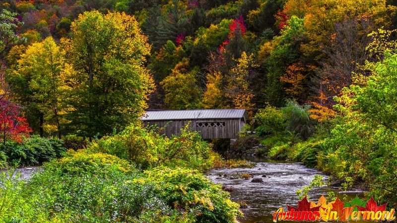 Cooley Bridge: The Mountain View Champion