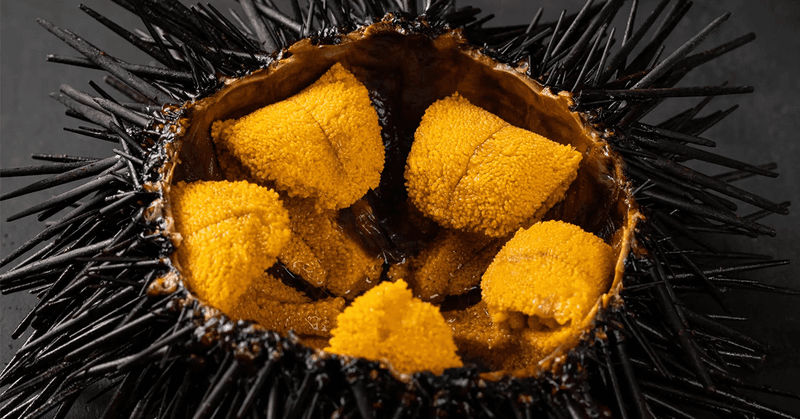California Road Trip Foods Worth Every Stop - Decor Hint Santa Barbara Sea Urchin