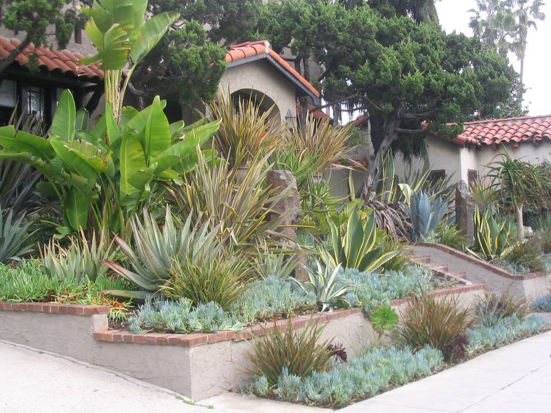 Native Plant Landscaping with Succulents