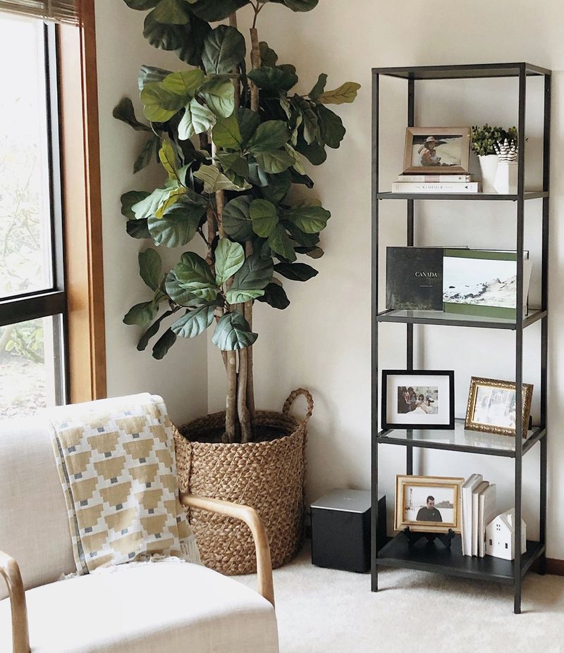 2000s Nevada Furniture Trends That Are Back To Slay Your Space - Decor Hint Minimalist Metal Frames