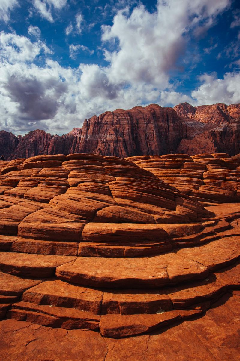 Snow Canyon State Park: Red Rock Wonder with Surprising Diversity
