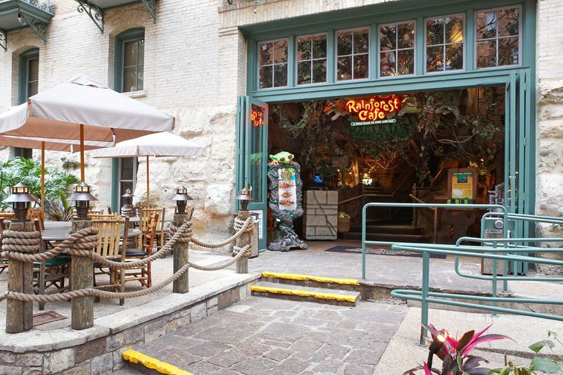 The Rainforest Cafe - Wild Adventure in San Antonio