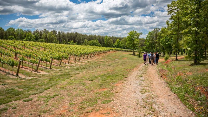 Blue Ridge Vineyard Trail