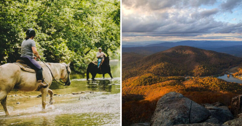 Gorgeous Horseback Trails Cutting Through Virginia’s Wineries This Fall