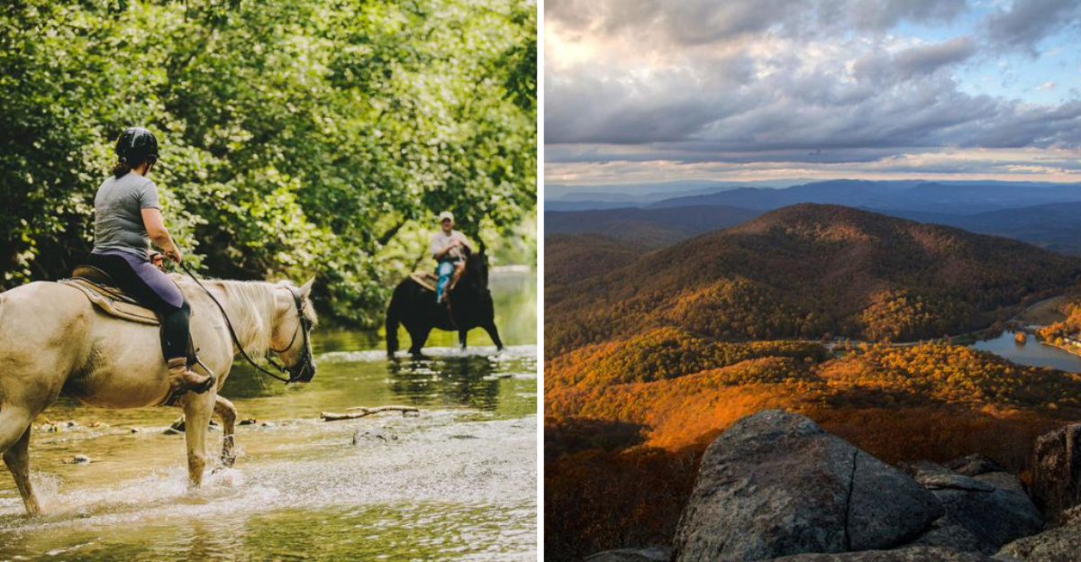 Gorgeous Horseback Trails Cutting Through Virginias Wineries This Fall - Decor Hint