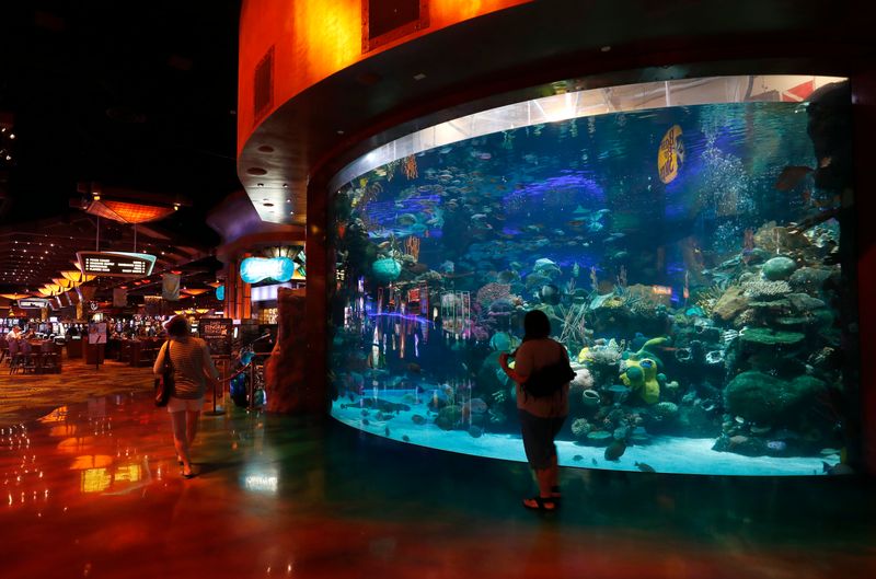 18 Nevada Buffets So Good They'll Change How You Think About Buffet Food - Decor Hint Seasons Buffet at Silverton